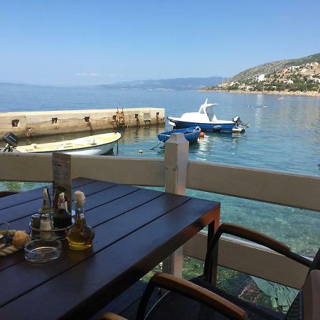 Apartman Mimoz Senj  Esterno foto